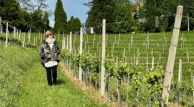 Die grünen Weinberge laden zum Wandern ein.