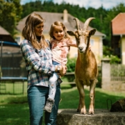 Familienurlaub am Staudachhof