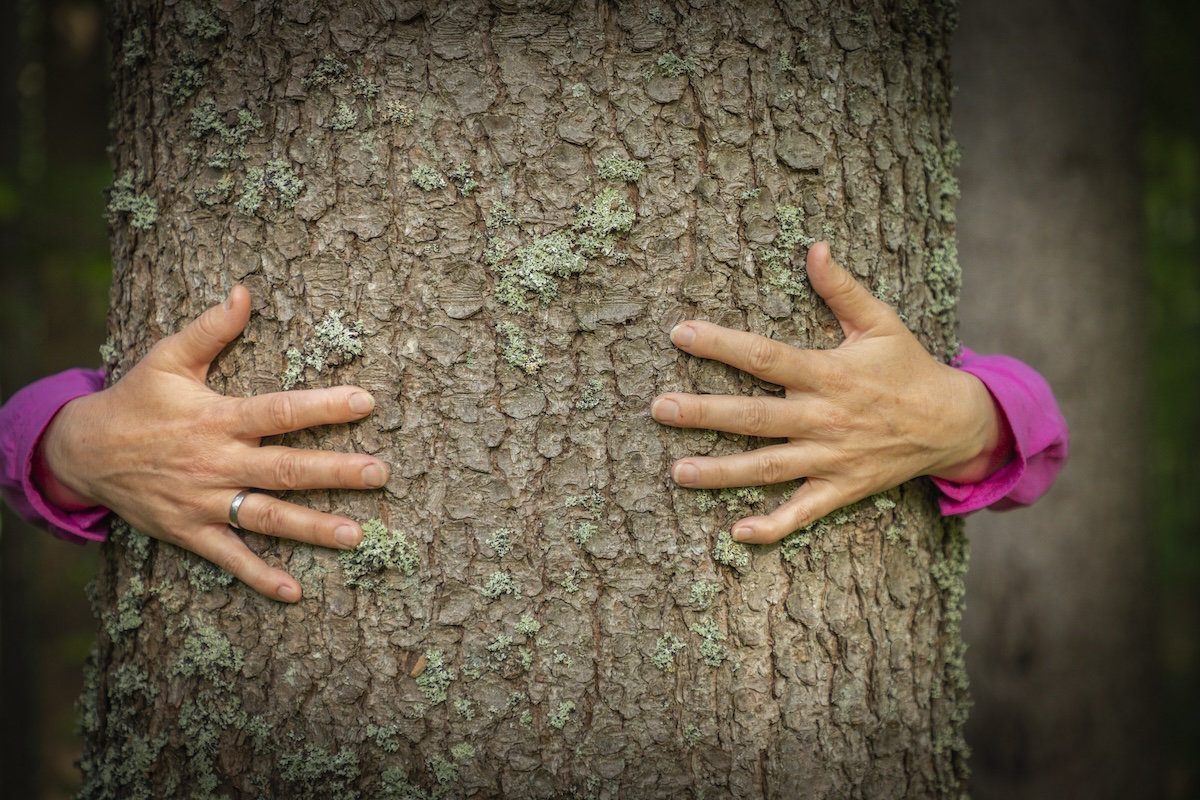 Schon einmal einen Baum umarmt? Das fühlt sich wunderschön an.