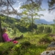 Zum Waldbaden sucht man sich einen naturnahen Wald mit vielfältigen Bäumen und Pflanzen, der auch gut erreichbar ist.