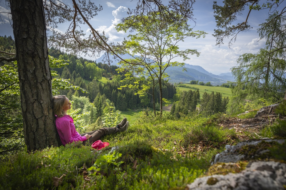 Zum Waldbaden sucht man sich einen naturnahen Wald mit vielfältigen Bäumen und Pflanzen, der auch gut erreichbar ist.