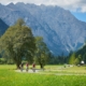 Das Logartal am Fuße der mächtigen Felswände der Steiner Alpen zählt zu den schönsten Hochtälern der Alpen.