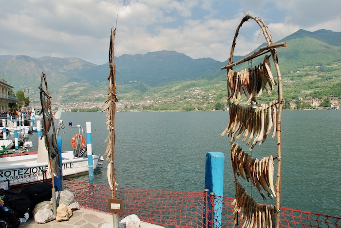 Spezialität des Sees: die „Sardine Secche“, die gar keine Sardinen sind, sondern „Agone“ (dt. Finte), eine Heringsart.